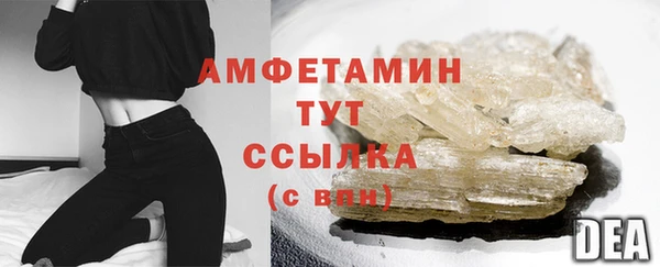 твердый Лагань
