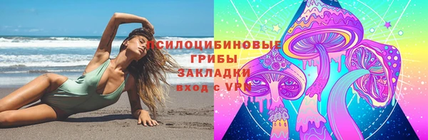 твердый Лагань