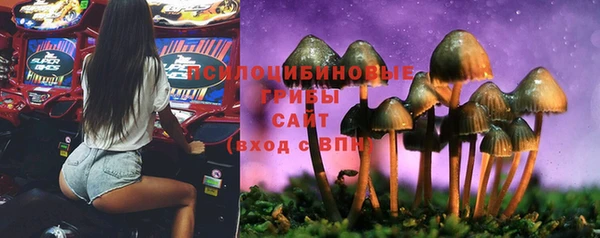 прущий лед Ладушкин