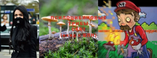 прущий лед Ладушкин