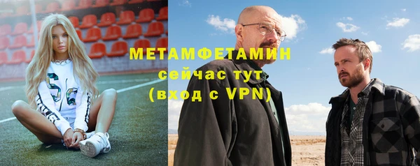 твердый Лагань