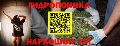 шишки Кунгур