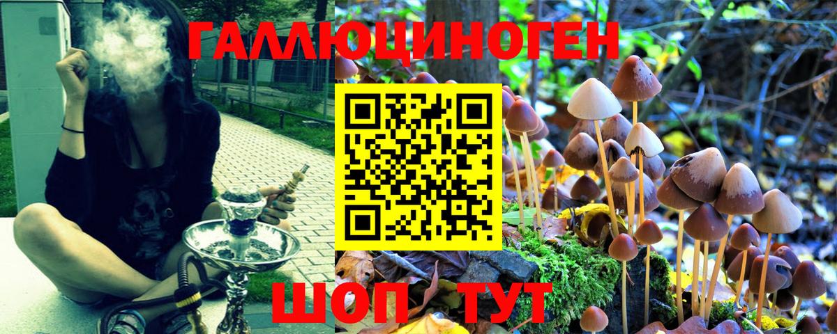 Галлюциногенные грибы Magic Shrooms  Вход с VPN  Галлюциногенные грибы Psilocybine cubensis  где можно купить   Осинники 