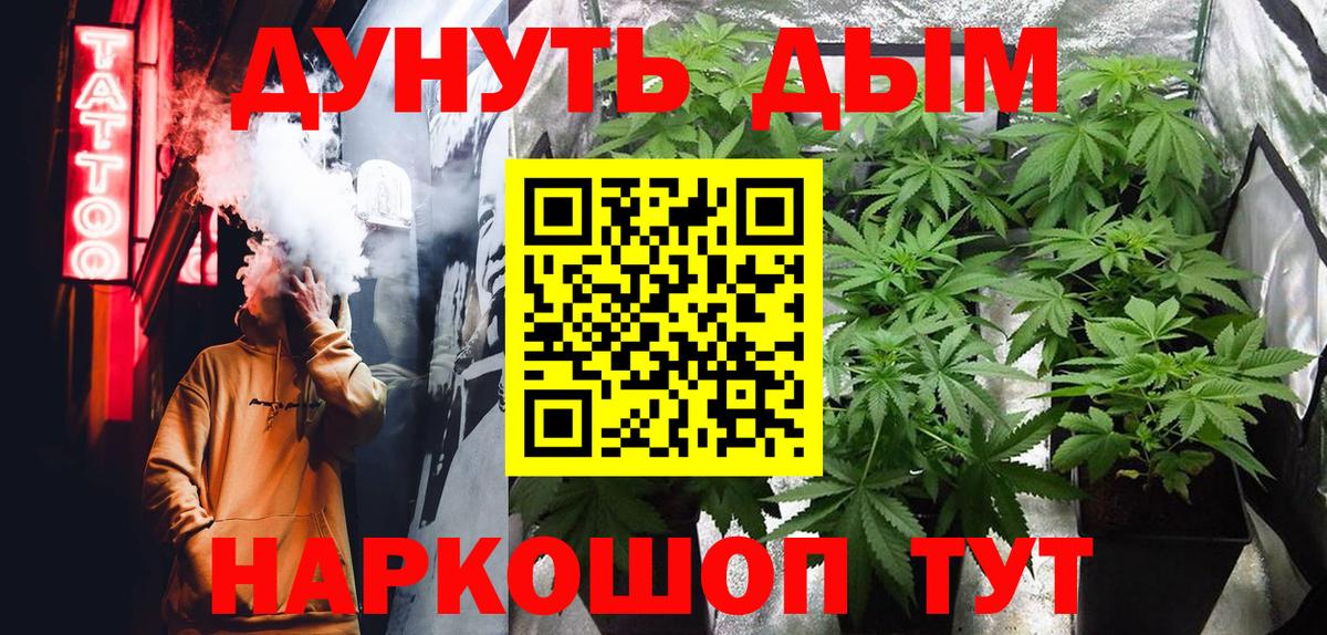 Бошки Шишки планчик Осинники